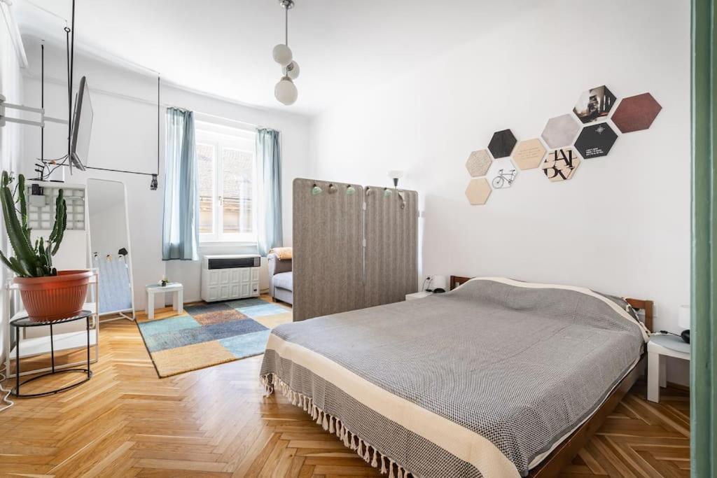 Apartman Classy Couture *